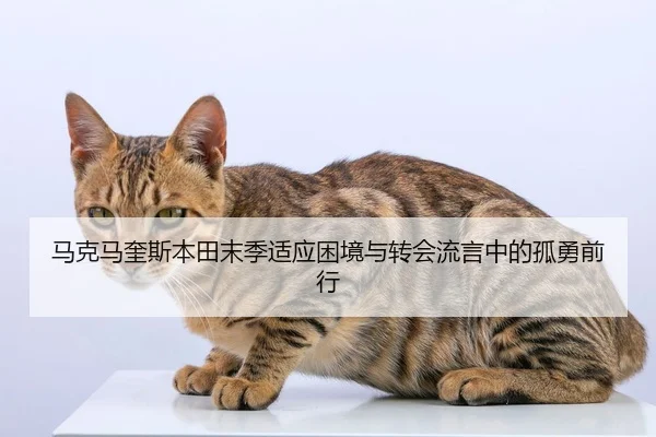 ma-ke-ma-kui-si-ben-tian-mo-ji-shi-ying-kun-jing-yu-zhuan-hui-liu-yan-zhong-de-gu-yong-qian-xing-2-914.jpg