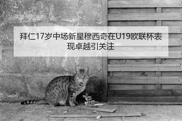 拜仁17岁中场新星穆西奇在U19欧联杯表现卓越引关注